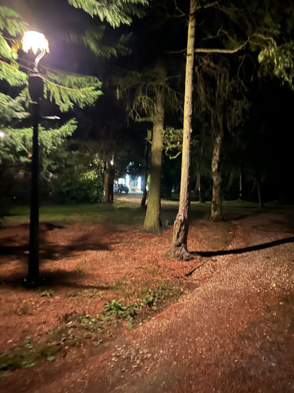 73feae_a6ffdbf779c6419b8cd99b91bafa6e61~mv2